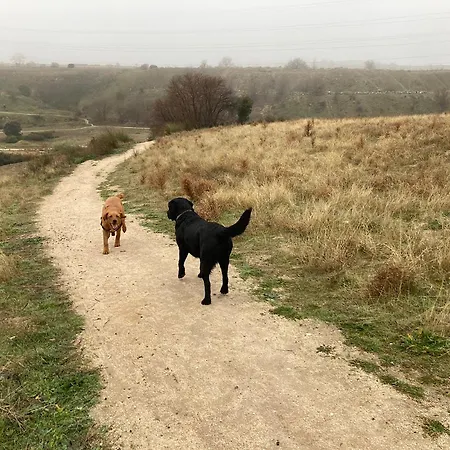 Casa El Encuentro - Turegano Segovia *