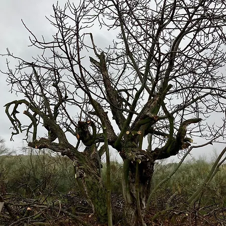 Casa El Encuentro - Turegano Segovia Carrascal De La Cuesta