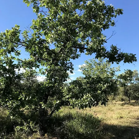 Casa El Encuentro - Turegano Segovia * Carrascal De La Cuesta