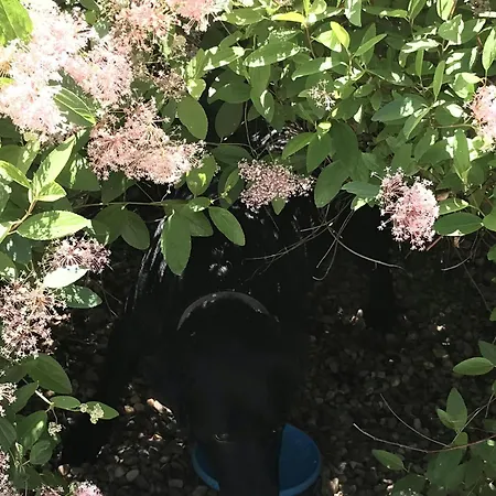 Casa El Encuentro - Turegano Segovia בית נופש Carrascal De La Cuesta