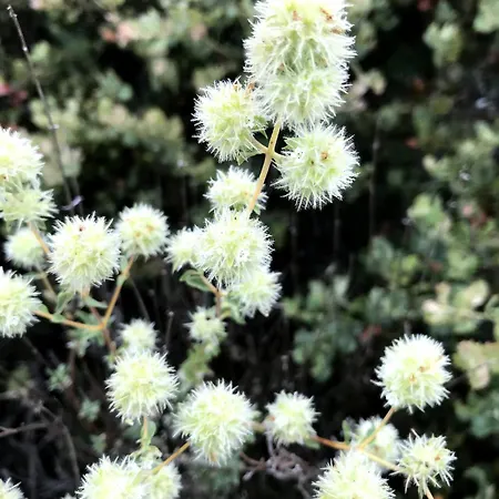 Casa El Encuentro - Turegano Segovia * Carrascal De La Cuesta