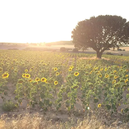 בית נופש Casa El Encuentro - Turegano Segovia