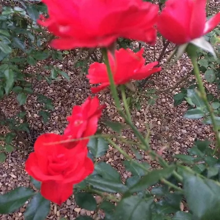 Casa El Encuentro - Turegano Segovia Carrascal De La Cuesta