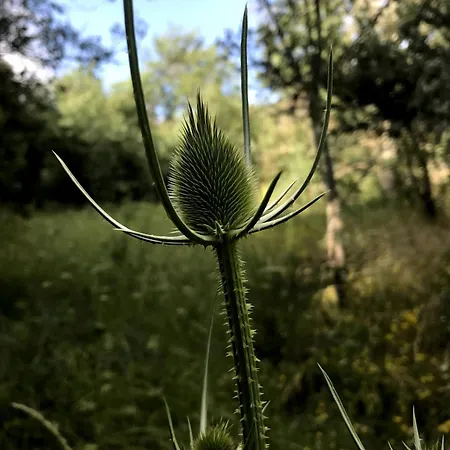 בית נופש Casa El Encuentro - Turegano Segovia