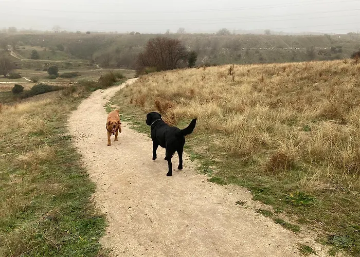 Casa El Encuentro - Turégano Segovia *