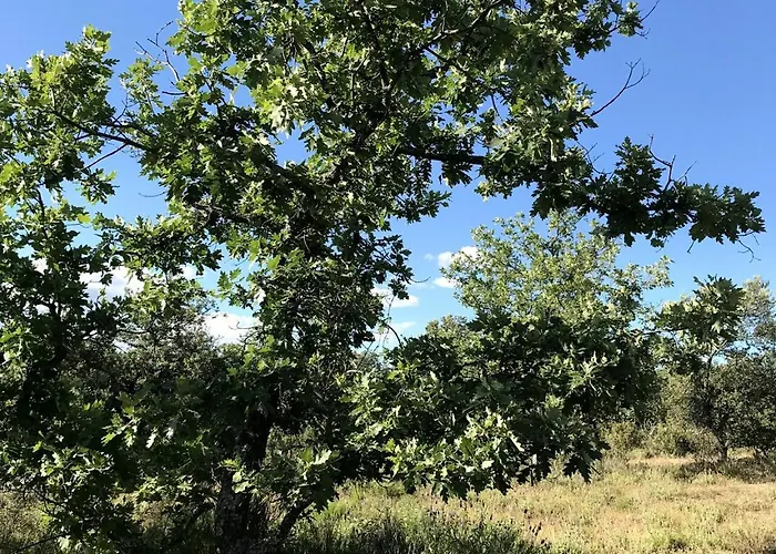 Casa El Encuentro - Turégano Segovia * Carrascal De La Cuesta