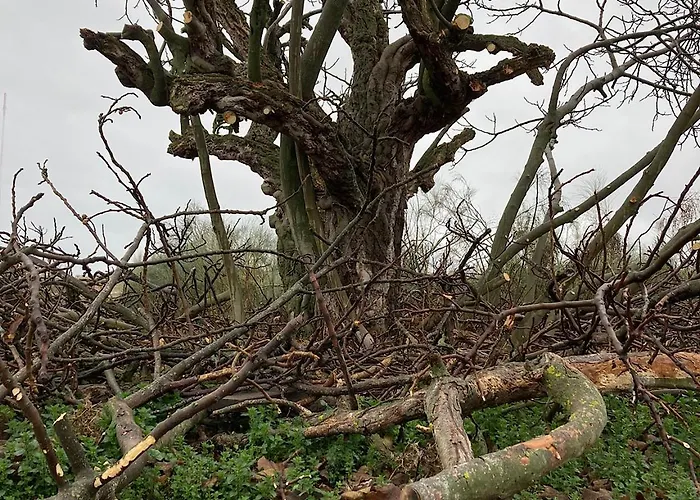 Casa El Encuentro - Turégano Segovia * Carrascal De La Cuesta