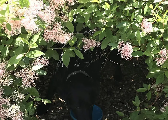 Casa El Encuentro - Turégano Segovia Hébergement de vacances Carrascal De La Cuesta