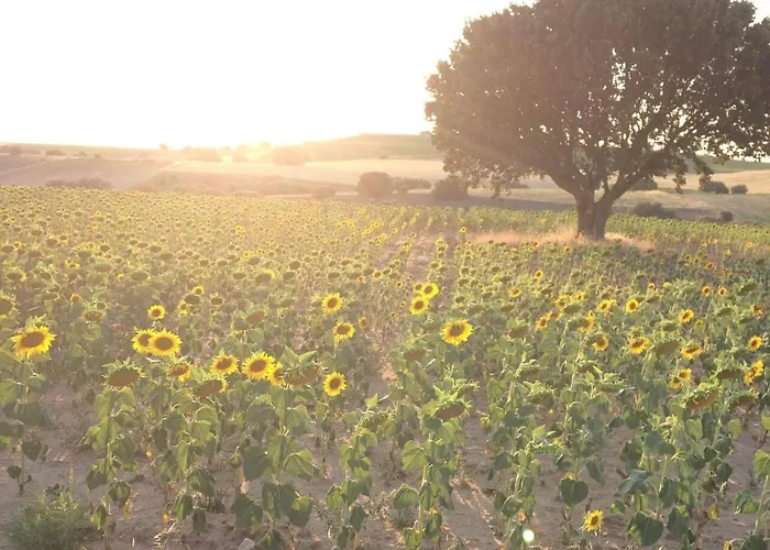 Hébergement de vacances Casa El Encuentro - Turégano Segovia