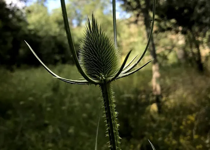 Hébergement de vacances Casa El Encuentro - Turégano Segovia